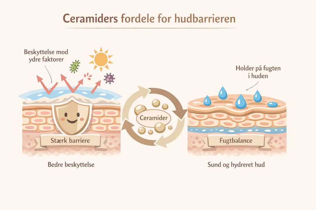 Hjælper ceramider mod sensitiv hud og rødme?