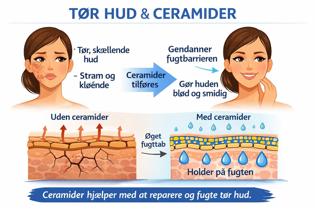Hvad er ceramider i hudpleje – og hvorfor er de så vigtige for huden?