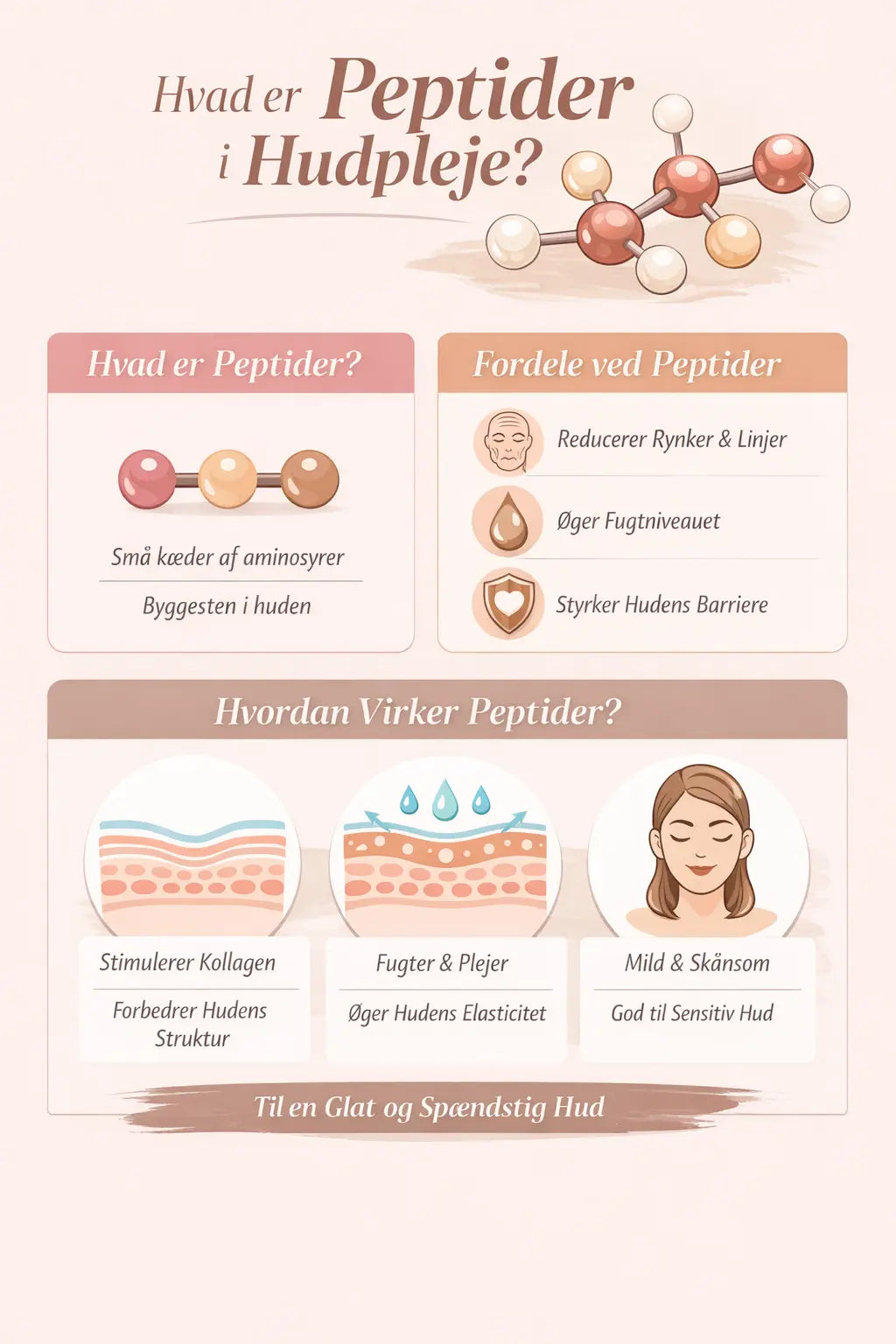 Hvad er peptider i hudpleje?