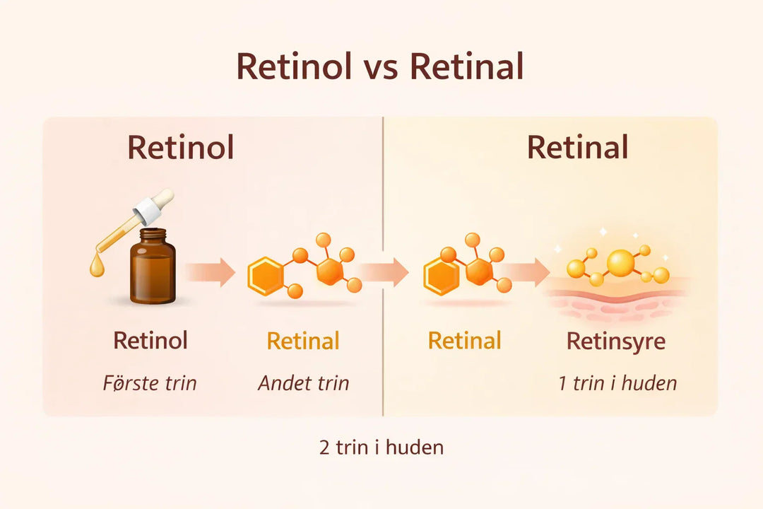 Retinol vs Retinal – hvad er forskellen?