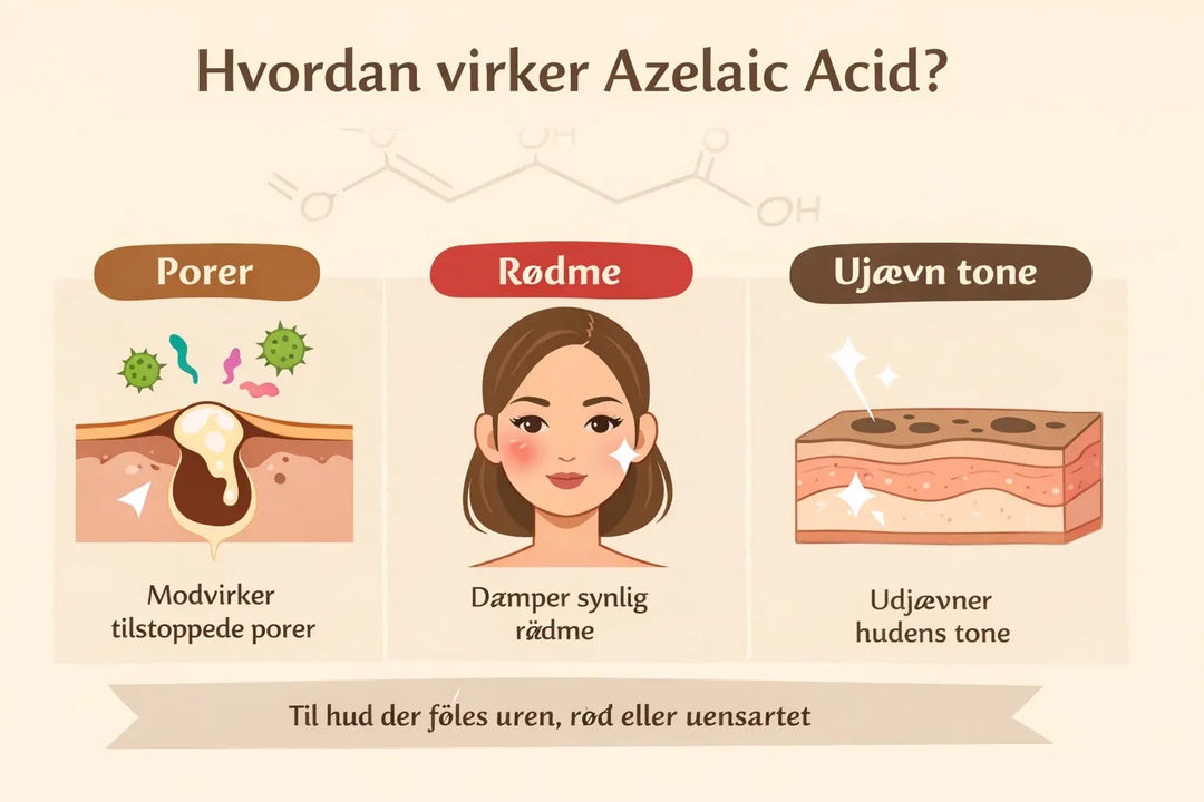 Hvad er Azelaic Acid – og hvad gør det for huden?