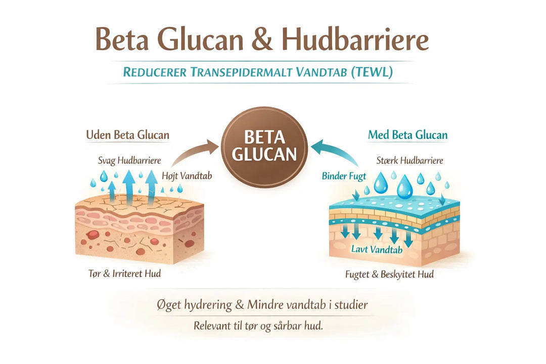 Hvad er Beta Glucan i hudpleje