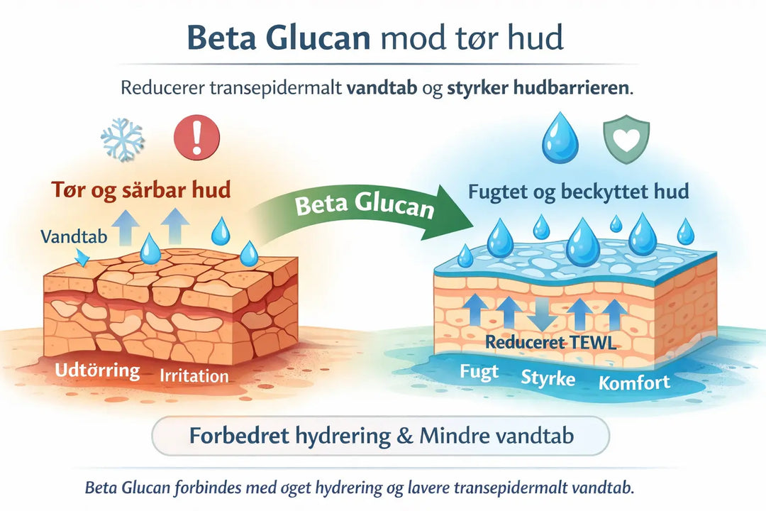 Beta Glucan mod tør hud – hvordan det støtter fugt og hudbarriere