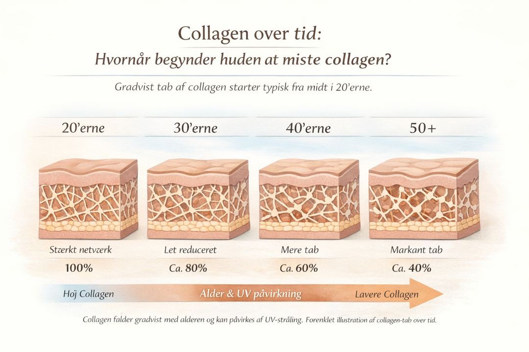Hvornår begynder huden at miste collagen?
