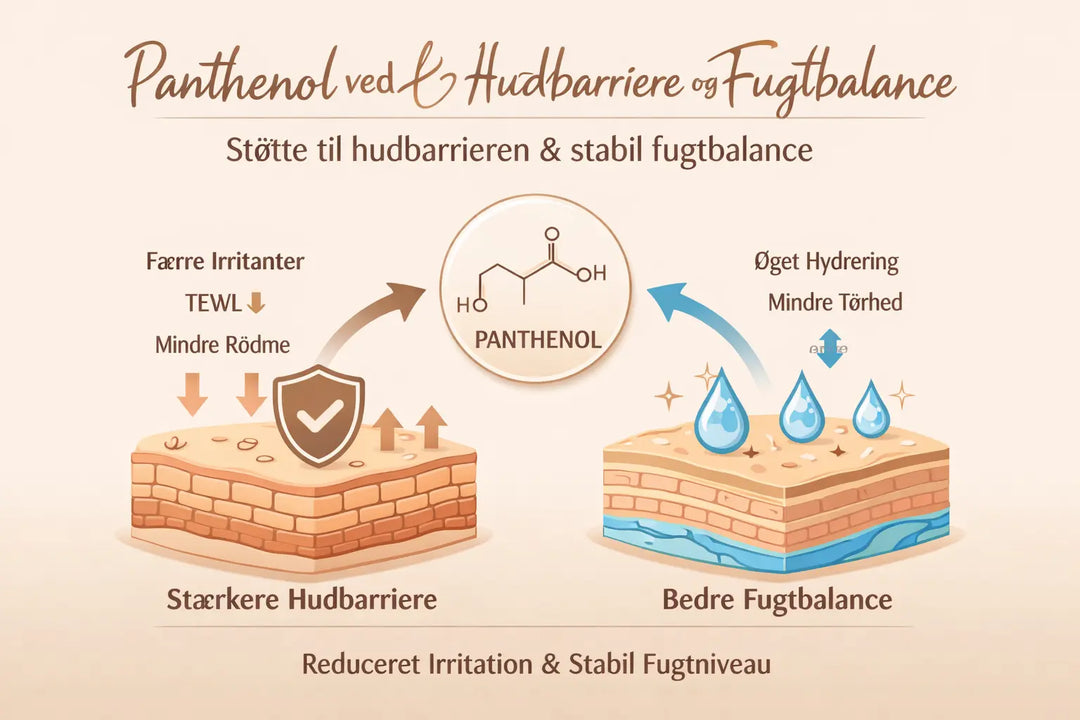 Panthenol og hudbarrieren – hvordan det støtter en svækket hud