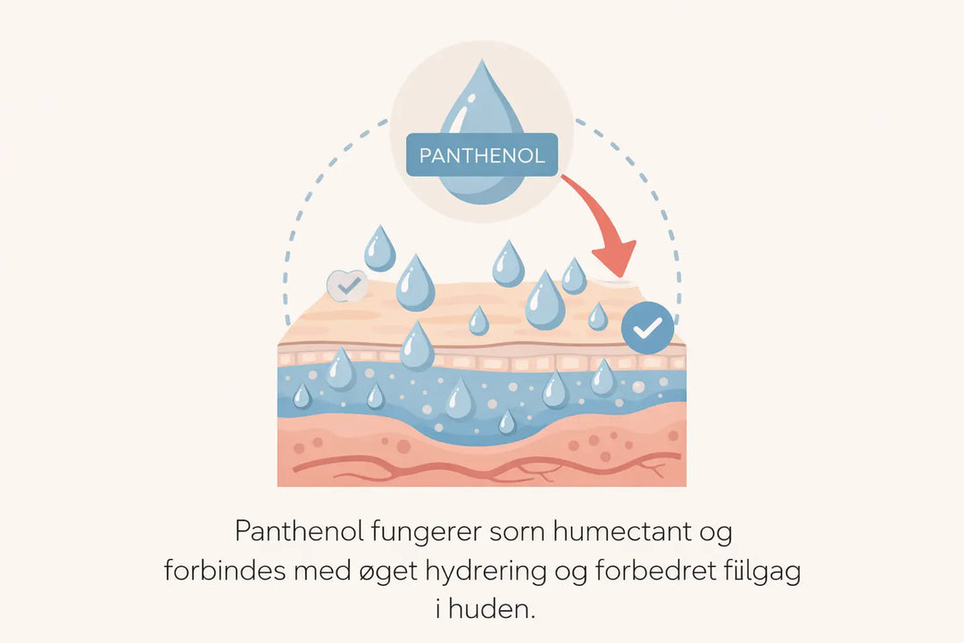 Panthenol i hudpleje – hvad det er og hvordan det virker