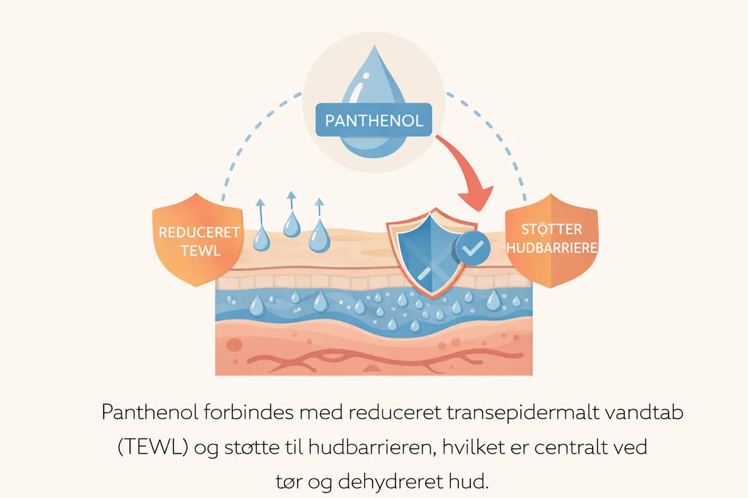 Panthenol mod tør hud – hvordan det påvirker hydrering og TEWL