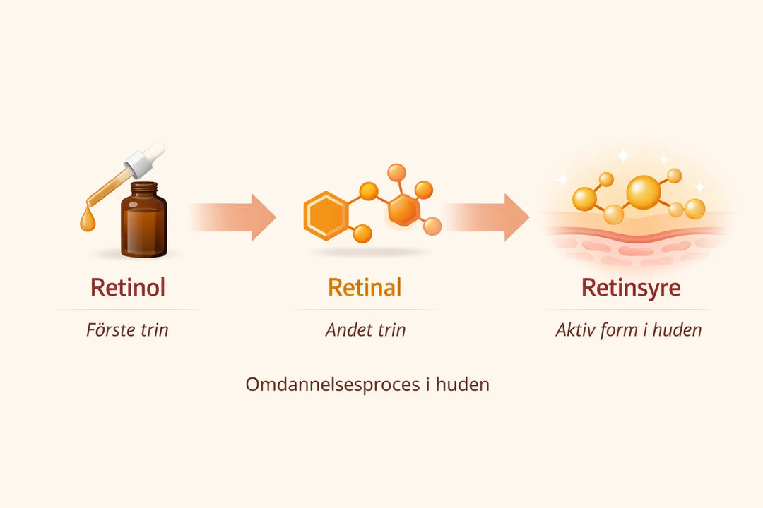 Retinol vs Retinal – hvad er forskellen?