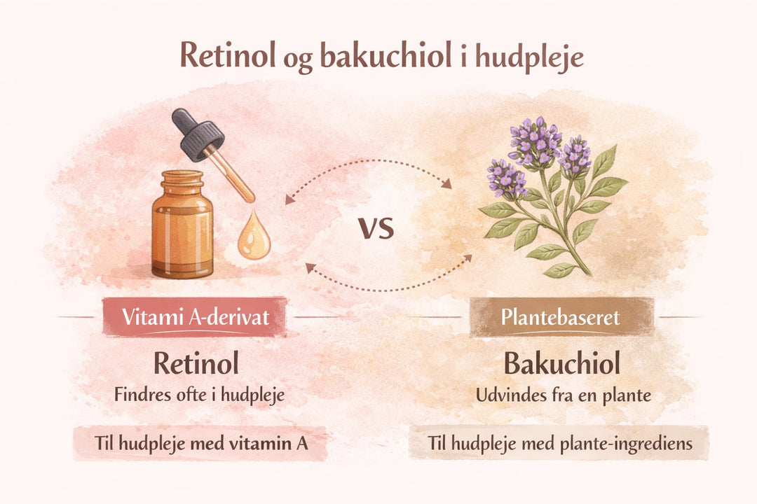Retinol vs Bakuchiol – hvad skal man vælge?