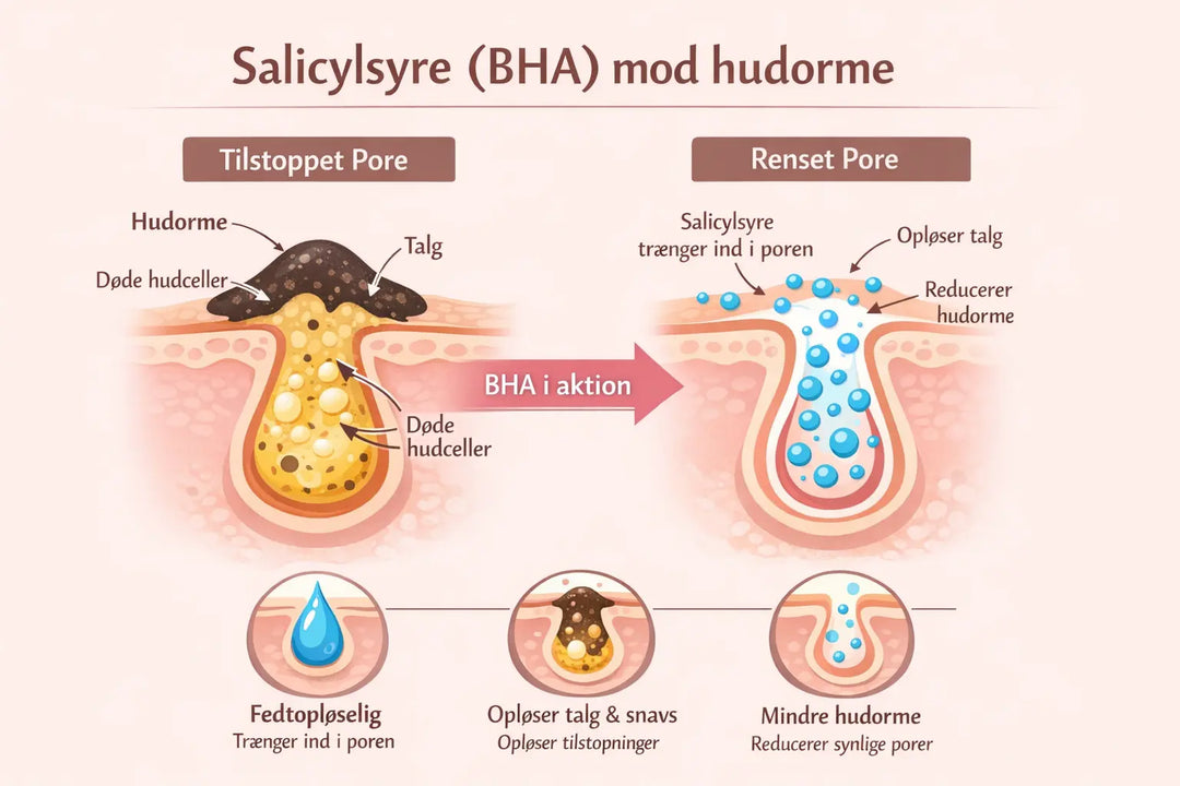 BHA mod hudorme